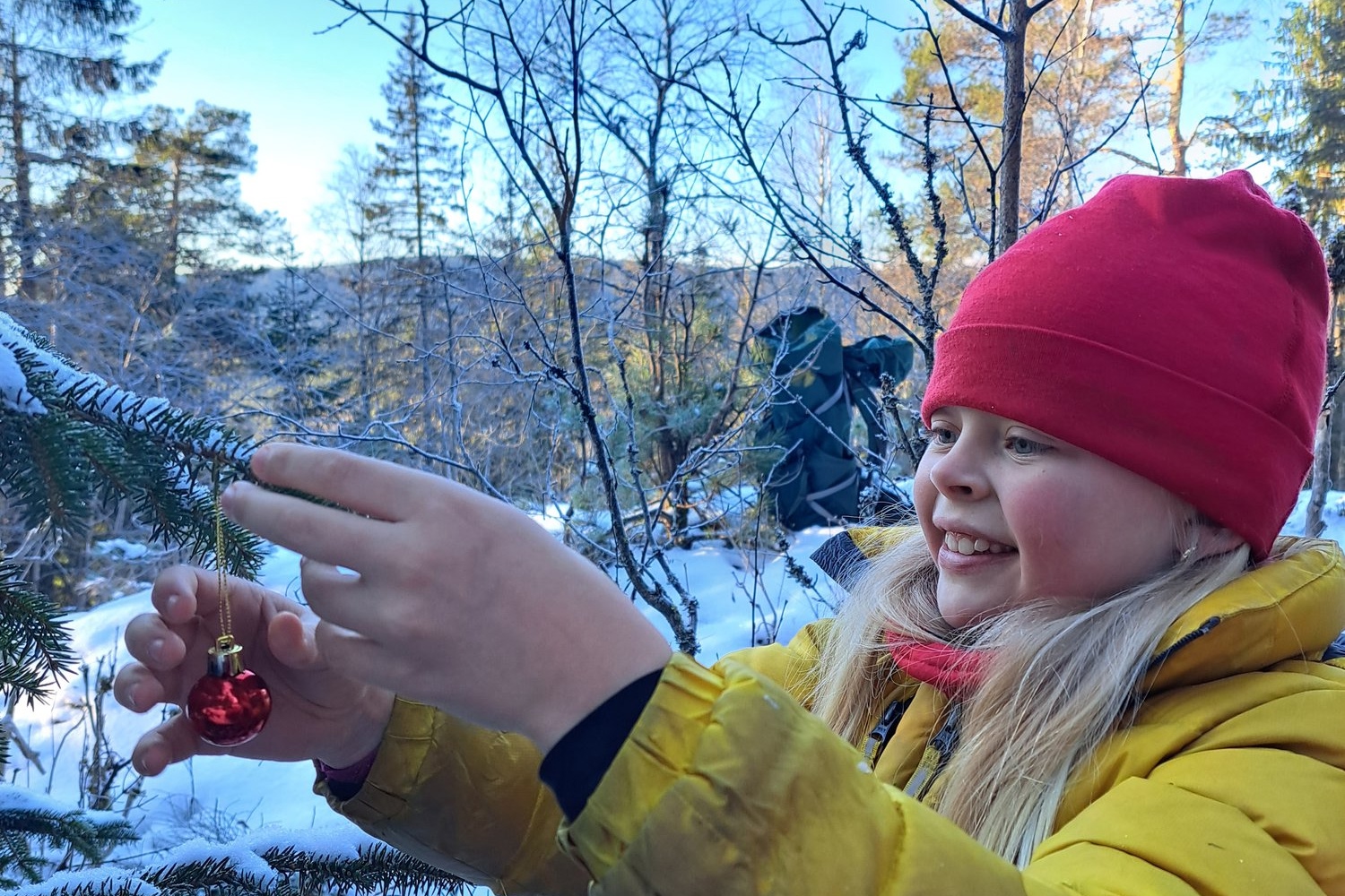 mina hanging christmas decoration